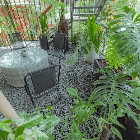 Hilly Hostel ダラット エクステリア 写真