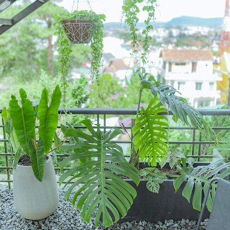Hilly Hostel ダラット エクステリア 写真