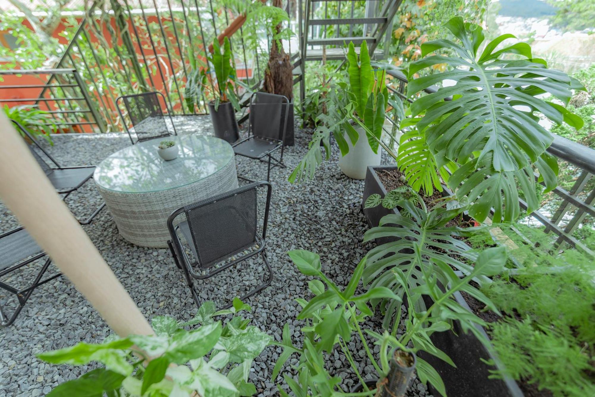 Hilly Hostel ダラット エクステリア 写真